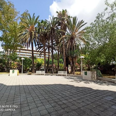 Apartaments Familiar Cerca Port Aventura 살루 외부 사진